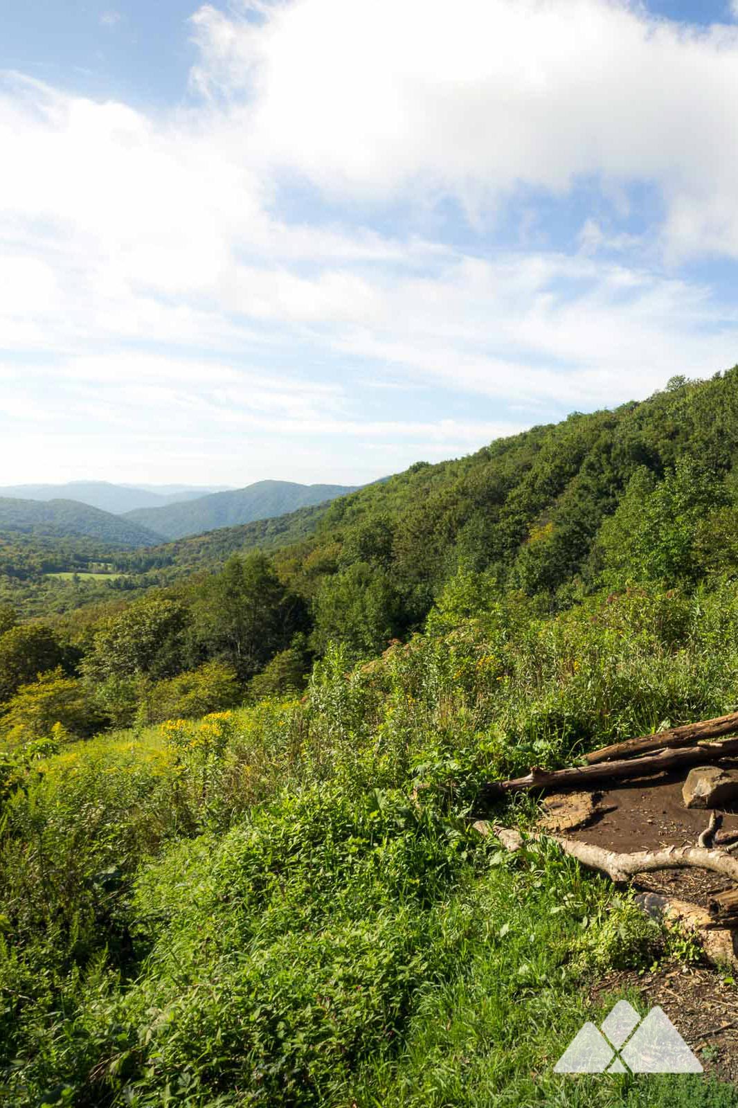 Appalachian Trail Roan Highlands to the Overmountain Shelter