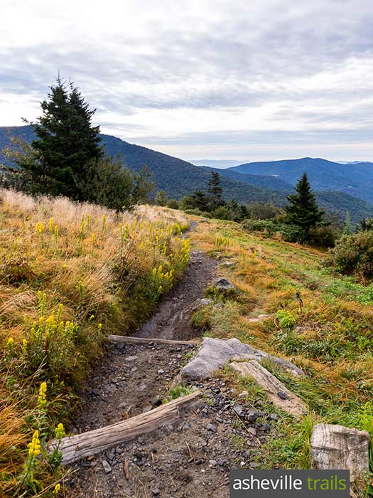 Roan Mountain hiking the Appalachian Trail to Grassy Ridge