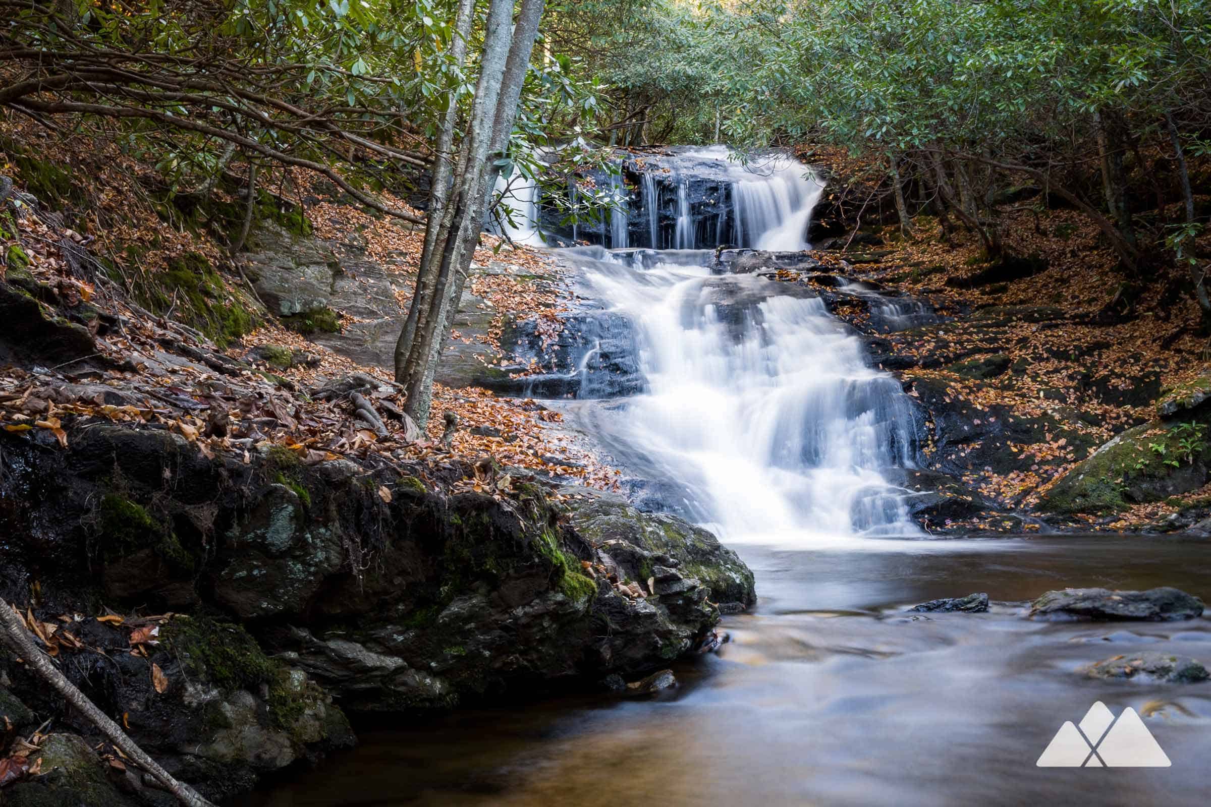 Dog Friendly Hikes Nc Dog Friendly Hikes Nc