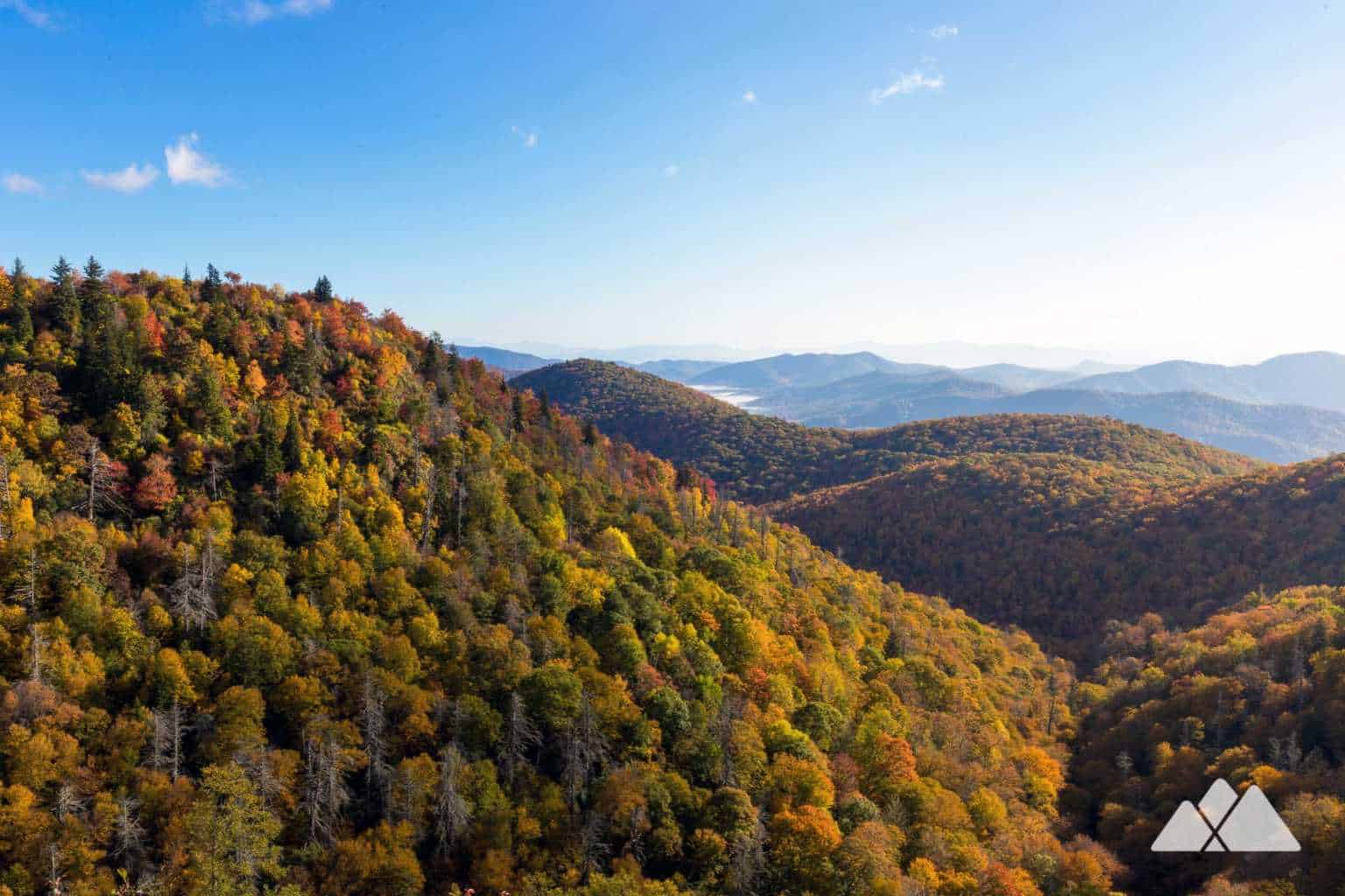 Best hikes in asheville nc