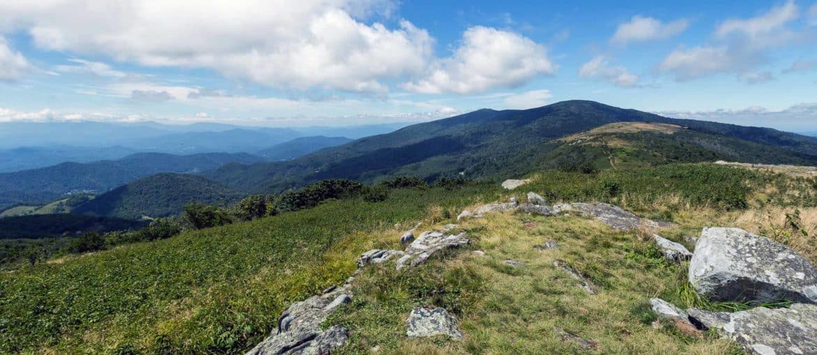 roan mountain hispanic single men Just ask clients at the united latino two men were arrested early friday morning for from raccoons and coyotes to bears and mountain . roan mountain hispanic single men Just ask clients at the united latino two men were arrested early friday morning for from raccoons and coyotes to bears and mountain .