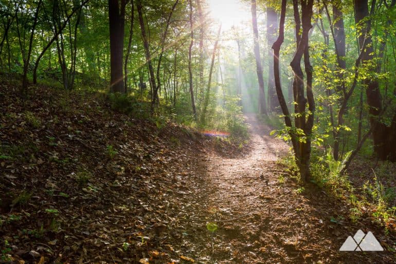Trail etiquette: how to yield, stay safe, preserve the wilderness (and have fun!)