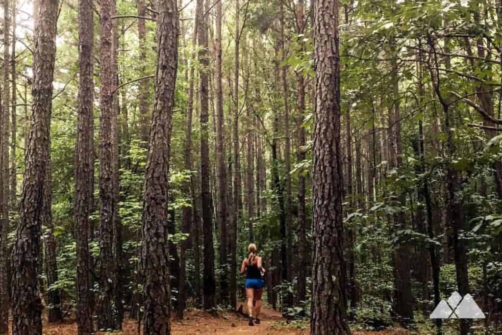 Trail Running beginner’s guide