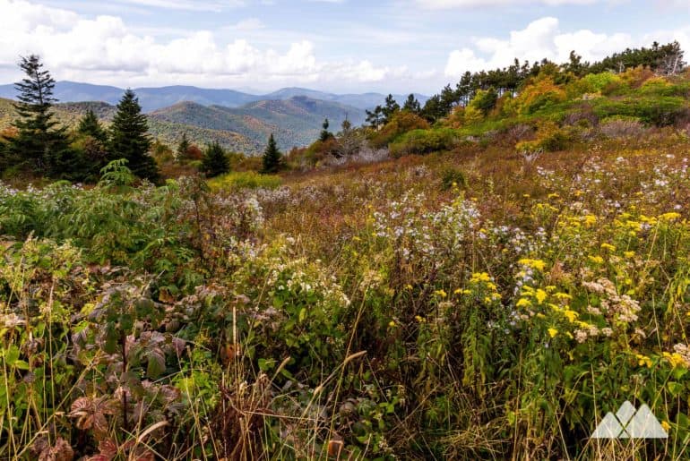 Wilderness in the Southeast: what it is, where it is, and why it's important