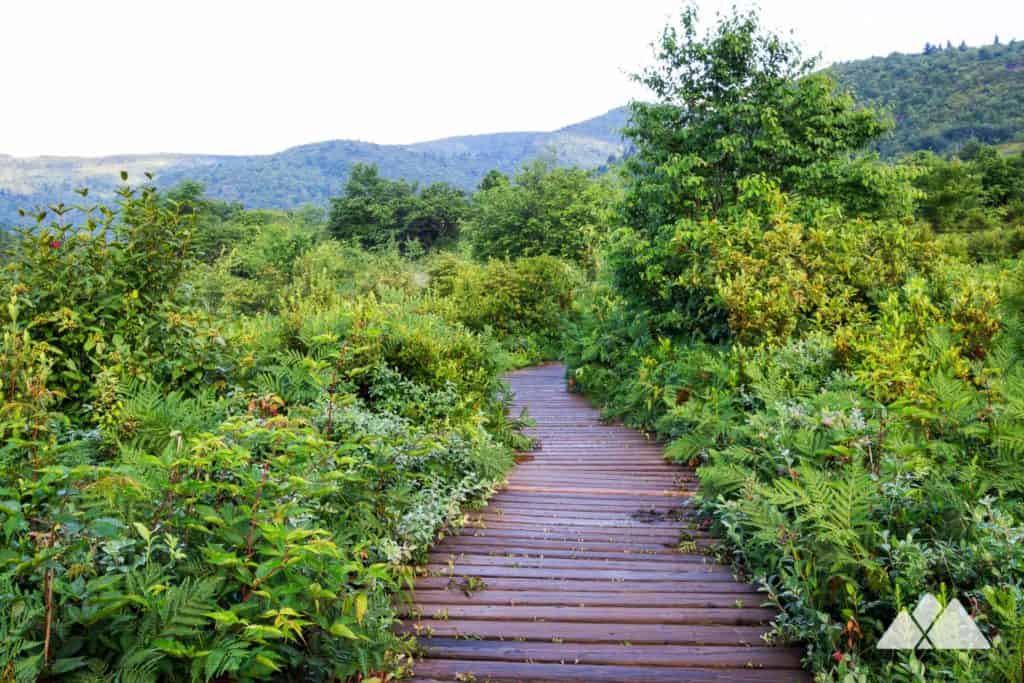 graveyard fields trail