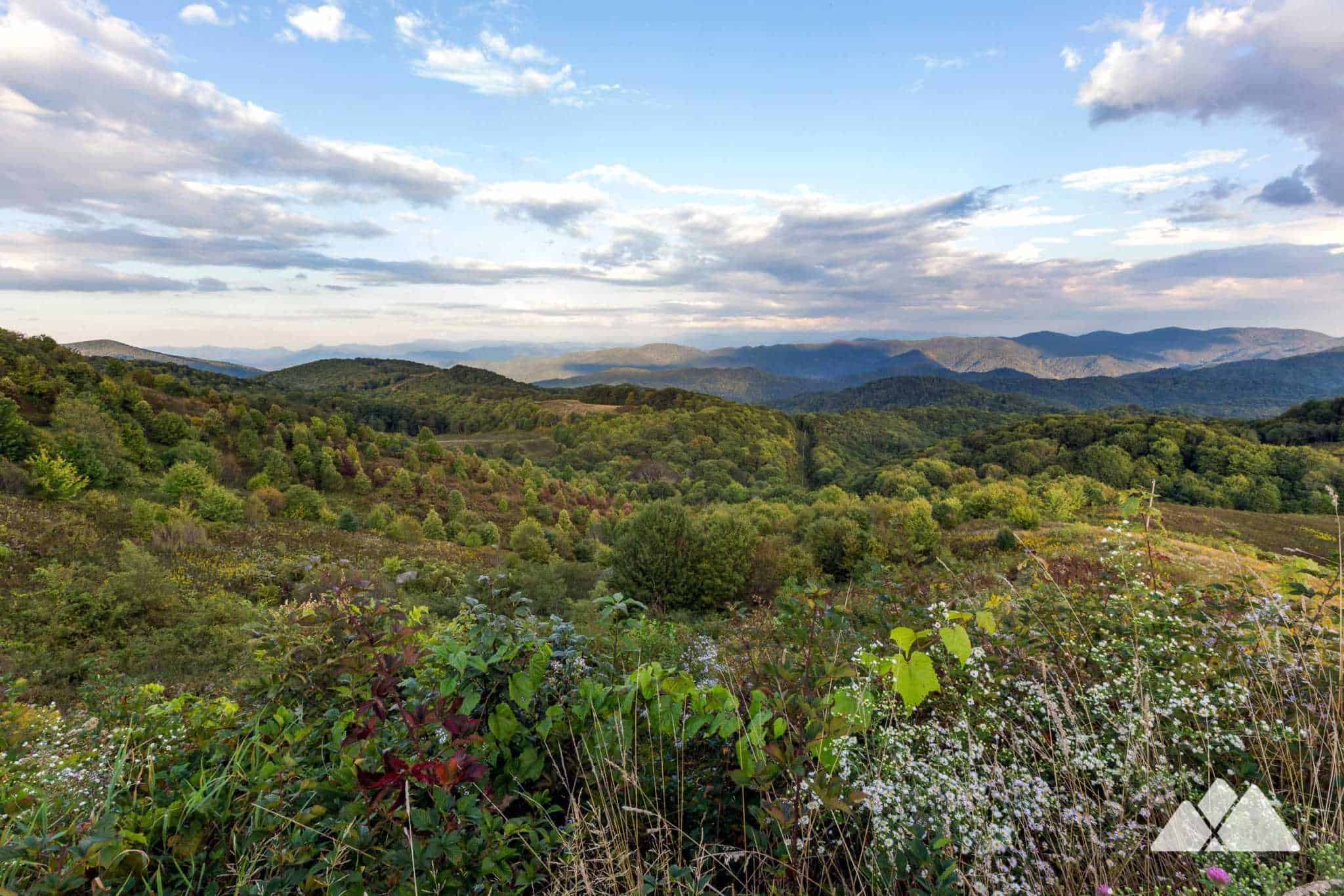Appalachian Trail Lemon Gap to Max Patch Mountain