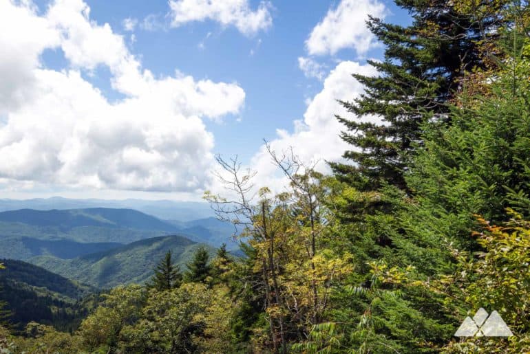 Richland Balsam Trail