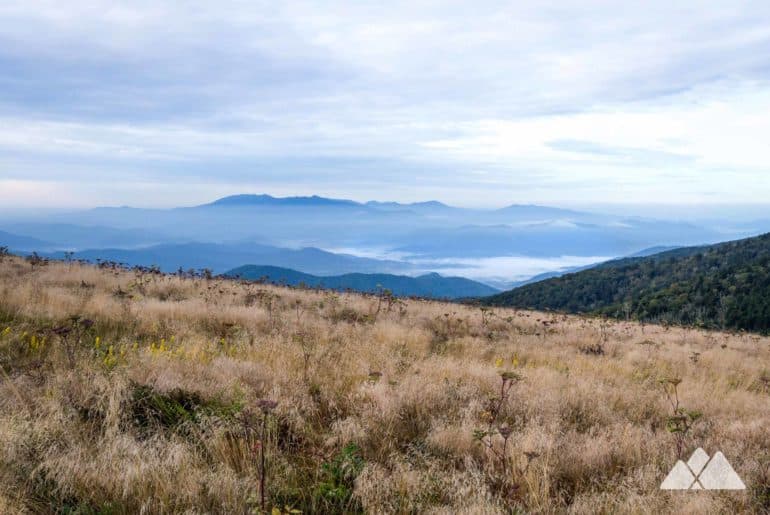 Roan Highlands: Carvers Gap to Grassy Ridge Bald