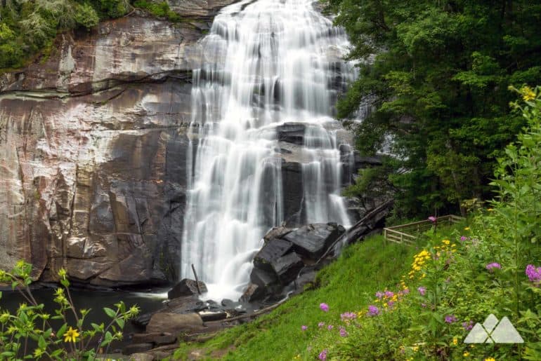 Asheville spring hikes: our favorite trails