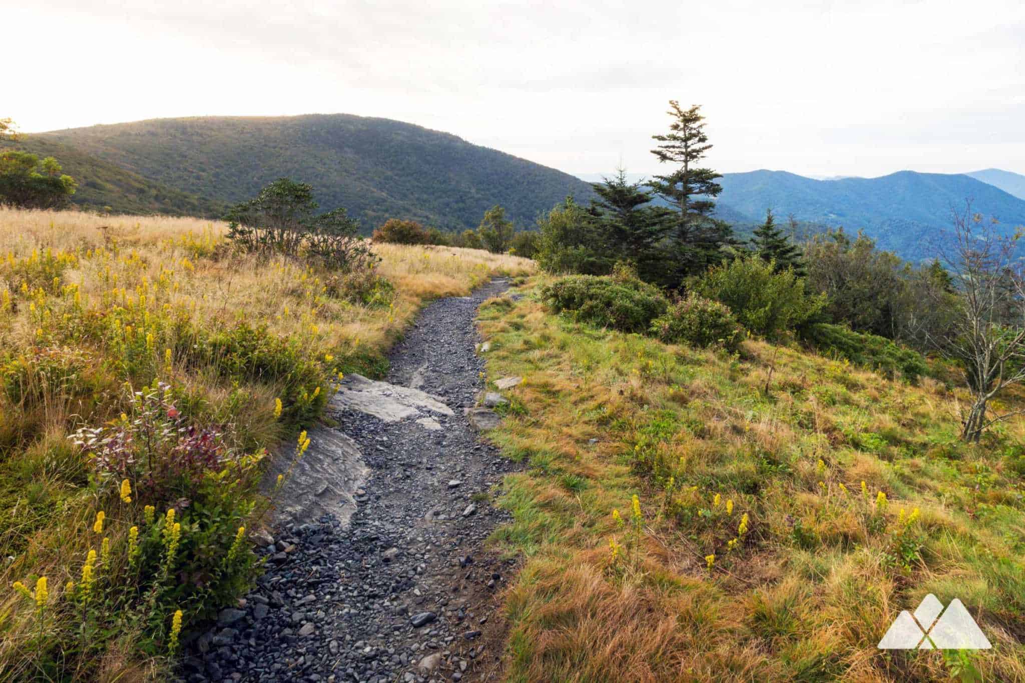 Black Balsam Knob On The Art Loeb Trail Asheville Trails