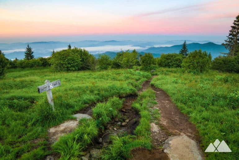 Andrews Bald in the Great Smoky Mountains